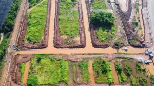 tiến độ Alluvia Xuân Cầu